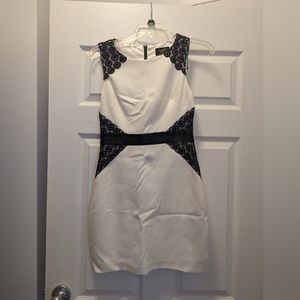 Laundry by Shelli Segal dress